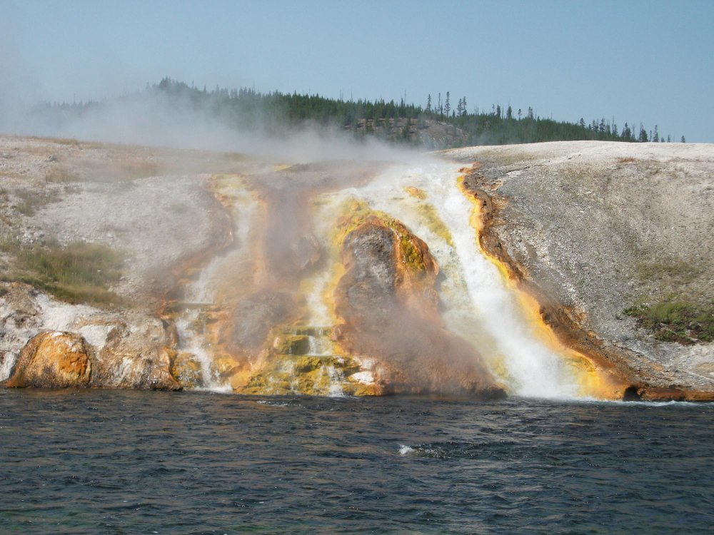 Yellowstone National Park - Geysers, Wildlife